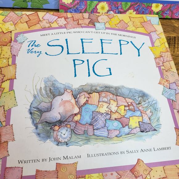 3 Children's Books Sleepy Pig Lost Duck Bunny nighttime reading picture book - Picture 2 of 6